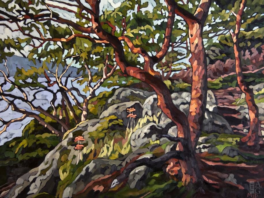 Landscape painting, West Coast Vision, by Mary-Jean Butler at The Avenue Gallery, a contemporary fine art gallery in Victoria, British Columbia, Canada.
