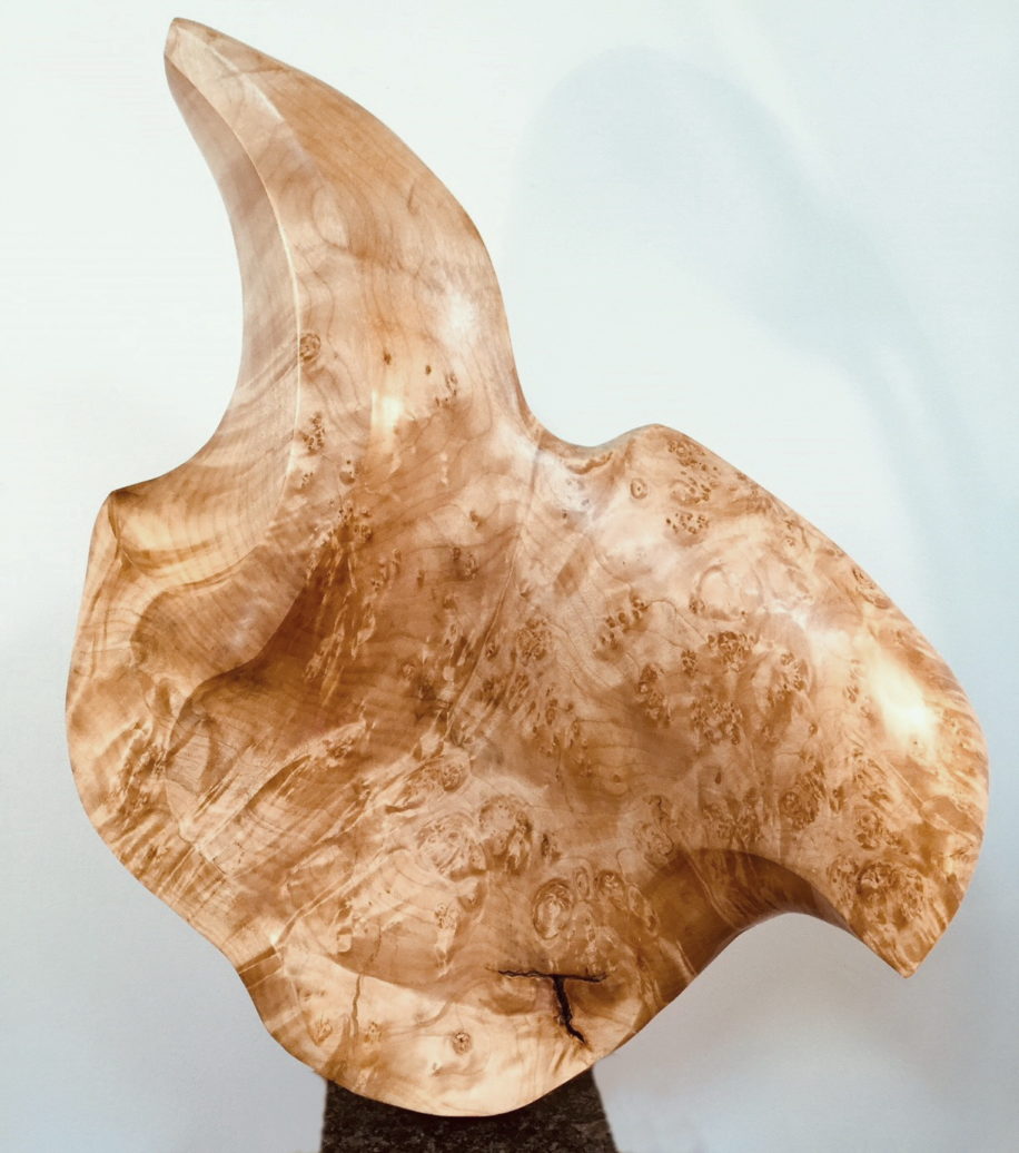 Salt Spring Island Big Leaf Maple sculpture, First Flight by Bruce Edmundson at The Avenue Gallery, a contemporary fine art gallery in Victoria, BC, Canada.