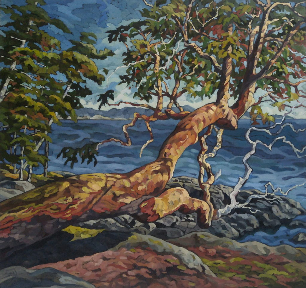 East Sooke Park by Mary-Jean Butler - The Avenue Gallery