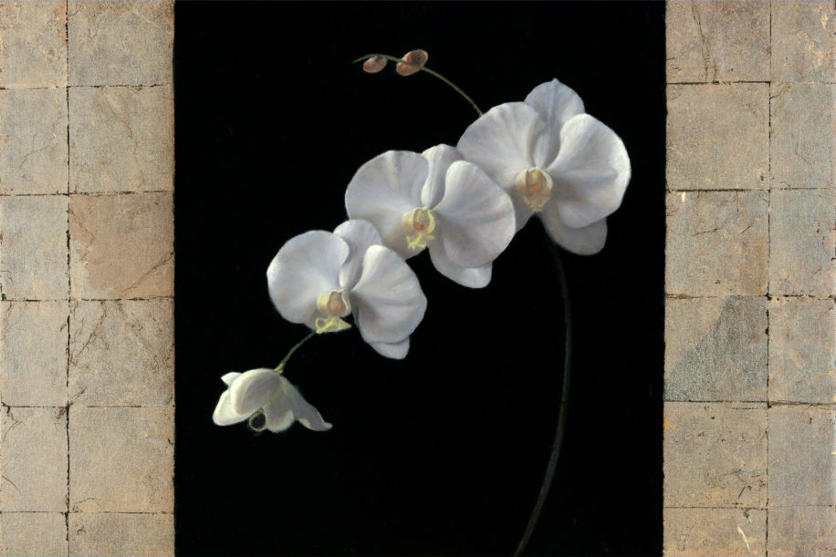 An Arc of Orchids by Catherine Moffat at The Avenue Gallery, a contemporary fine art gallery in Victoria, BC, Canada.