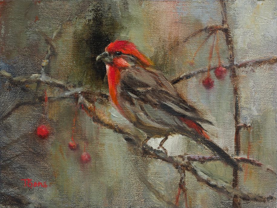 House Finch by Tanya Bone at The Avenue Gallery, a contemporary fine art gallery in Victoria, BC, Canada.