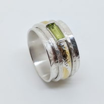 Spinner Ring by Andrea Roberts at The Avenue Gallery, a contemporary fine art gallery in Victoria, BC, Canada.