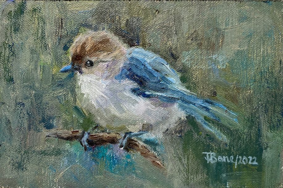 Bushtit Study 1 by Tanya Bone at The Avenue Gallery, a contemporary fine art gallery in Victoria, BC, Canada.