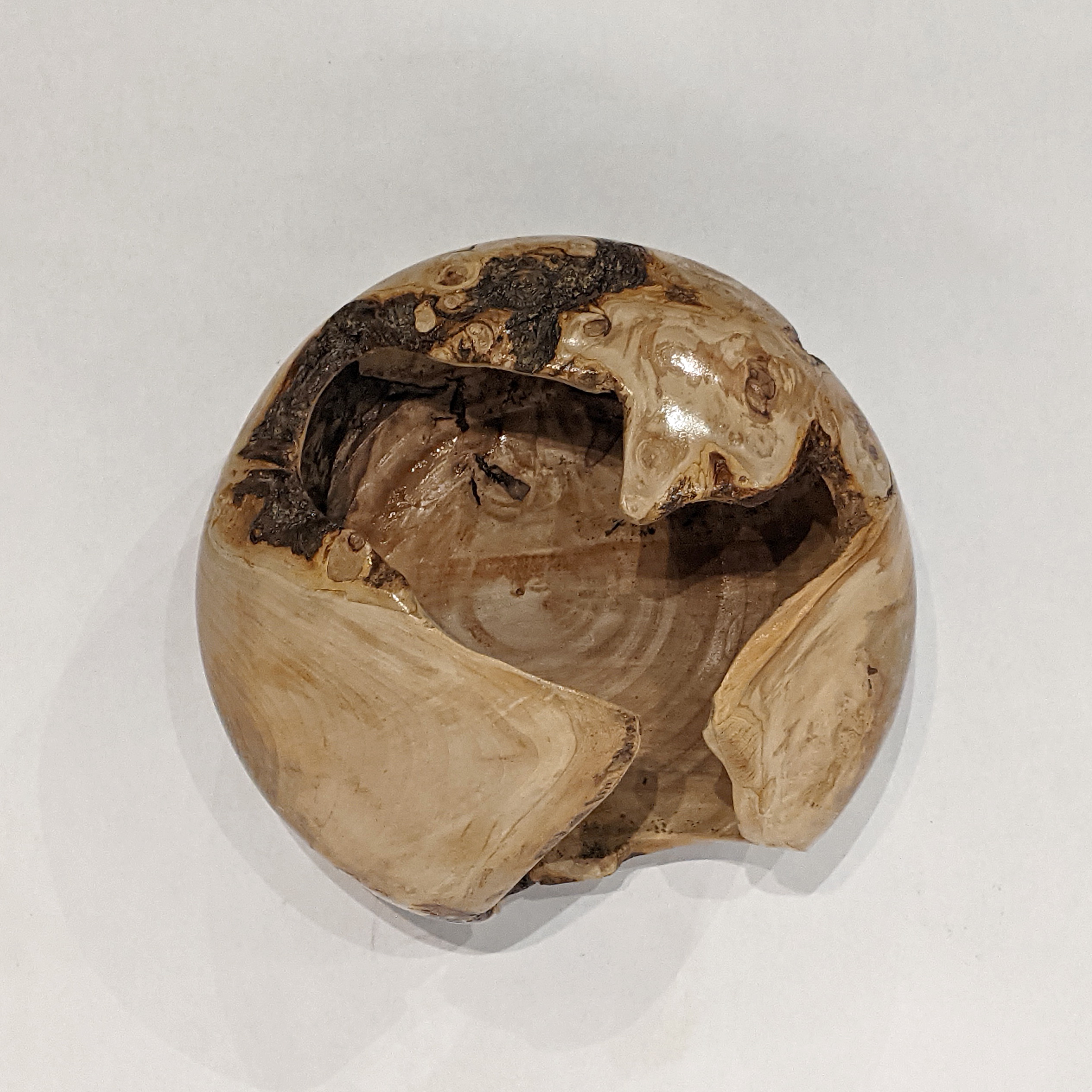 Maple Burl Open Vessel by Laurie Ward - The Avenue Gallery