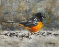 Spotted Towhee by Tanya Bone at The Avenue Gallery, a contemporary fine art gallery in Victoria, BC, Canada.