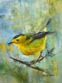 Wilson's Warbler by Tanya Bone at The Avenue Gallery, a contemporary fine art gallery in Victoria, BC, Canada.