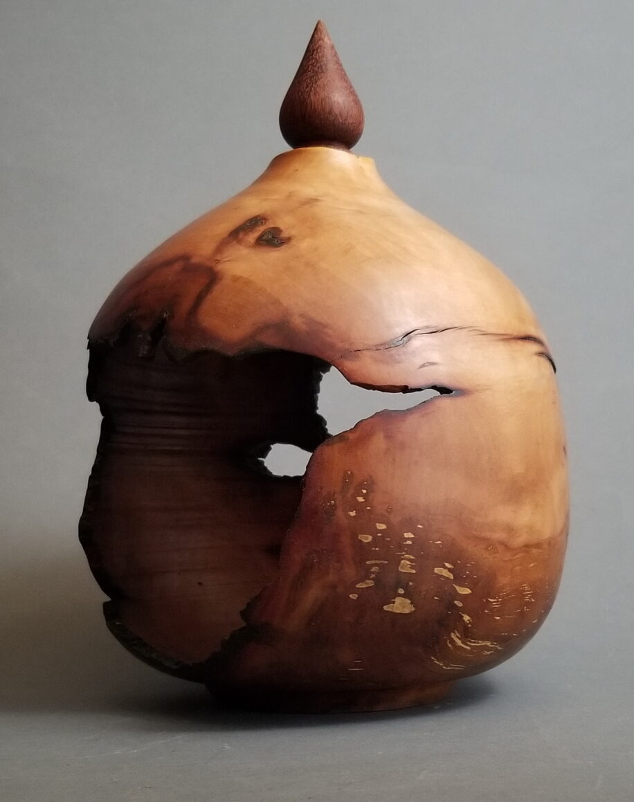 Arbutus Hollow Form, Canker Log Section by Robert Wilman at The Avenue Gallery, a contemporary fine art gallery in Victoria, BC, Canada.