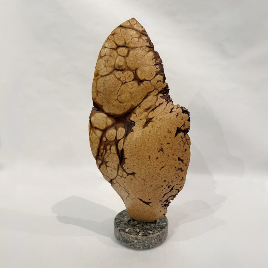 Scoop by Bruce Edmundson at The Avenue Gallery, a contemporary fine art gallery in Victoria, BC, Canada.
