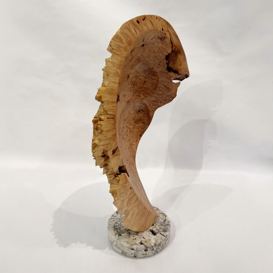 Hear, Hear by Bruce Edmundson at The Avenue Gallery, a contemporary fine art gallery in Victoria, BC, Canada.