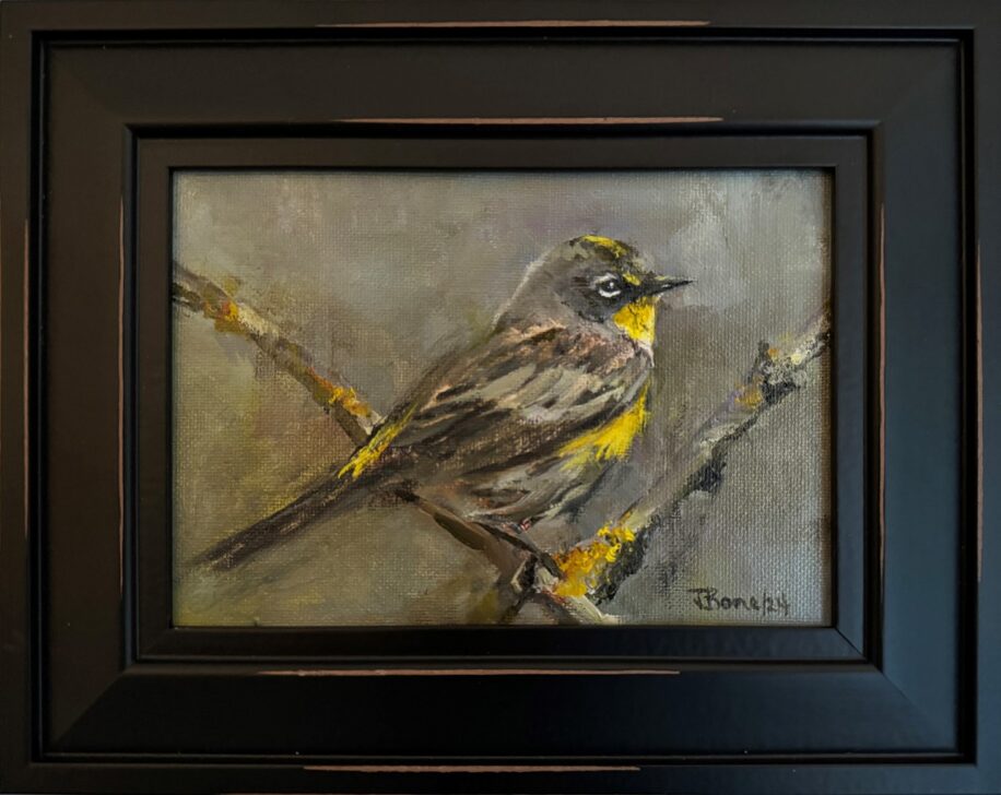 Yellow Rumped Warbler by Tanya Bone at The Avenue Gallery, a contemporary fine art gallery, in Victoria, BC, Canada.